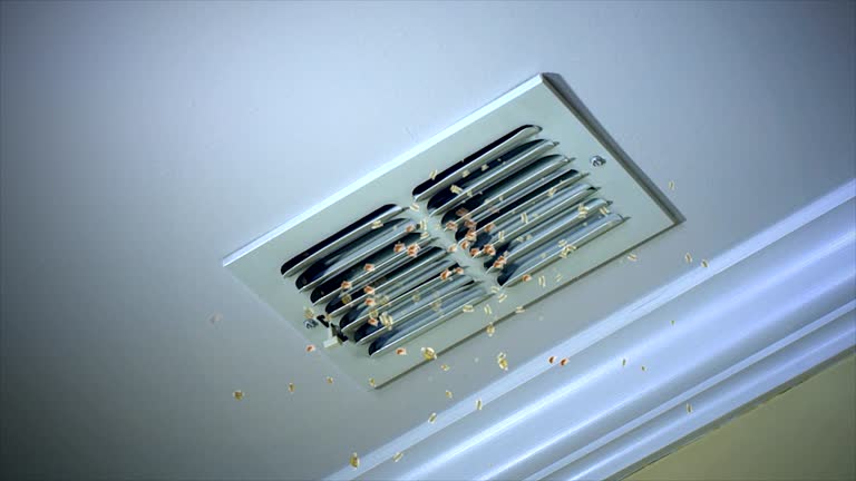Affordable HVAC Duct Cleaning in Midway, FL