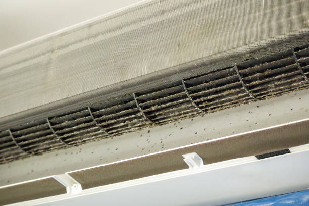 Trusted Midway, FL Airduct Cleaning Experts